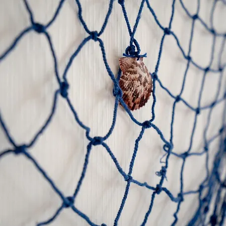 Ostseecamp Luebecker Bucht Strandlaeufer * 沙博伊茨