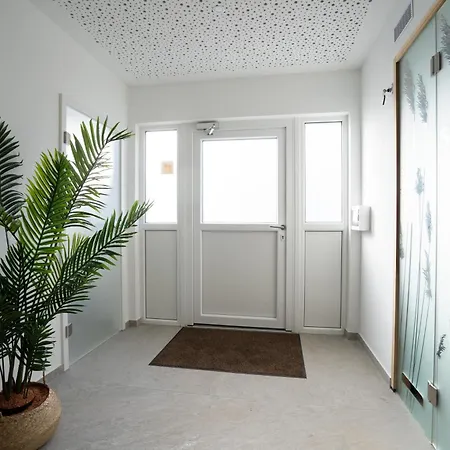 Ostseecamp Luebecker Bucht Strandlaeufer * 沙博伊茨